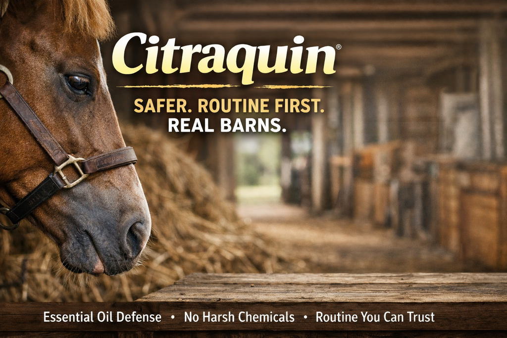 Citraquin® Fly Spray: A Safer Routine First Alternative for Real Barns | Three Horse Supply