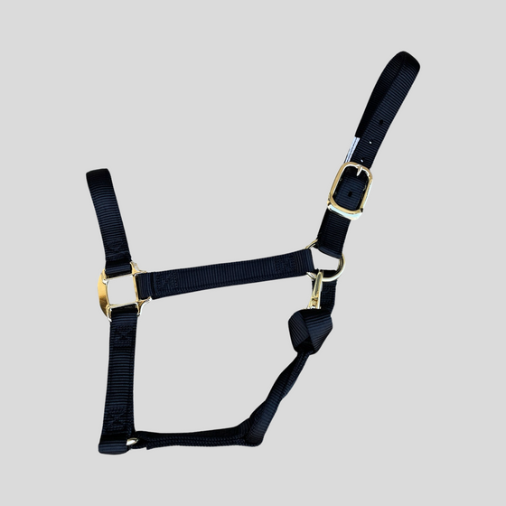 Halter Nylon with Replaceable Throat Snap, Large Horse 1100-1500 lbs #26355