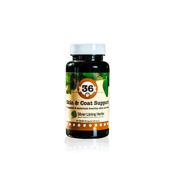 36 Skin & Coat Support for Canines