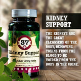 37 Kidney Support for Canines -  90 Capsule