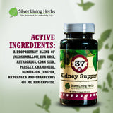 37 Kidney Support for Canines -  90 Capsule
