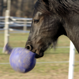 Jolly Ball® 10"