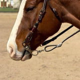 The Old 106 Snaffle