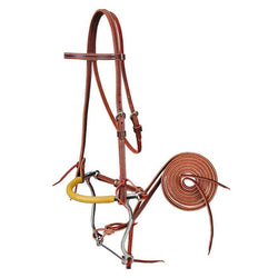 Browband Bridle with Hackamore Bit Set