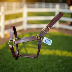 Deluxe Leather Halter, Double Buckles, Polished Brass Hardware #92010