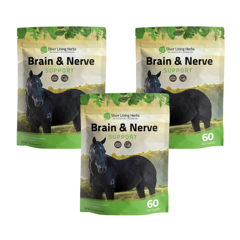 Brain & Nerve Support for Horses