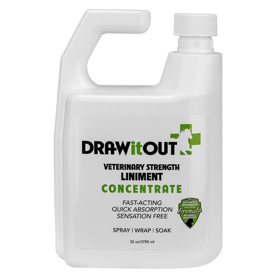 Draw It Out® 32oz Horse Liniment Concentrate – Spray, Wrap, or Soak for Fast Equine Relief