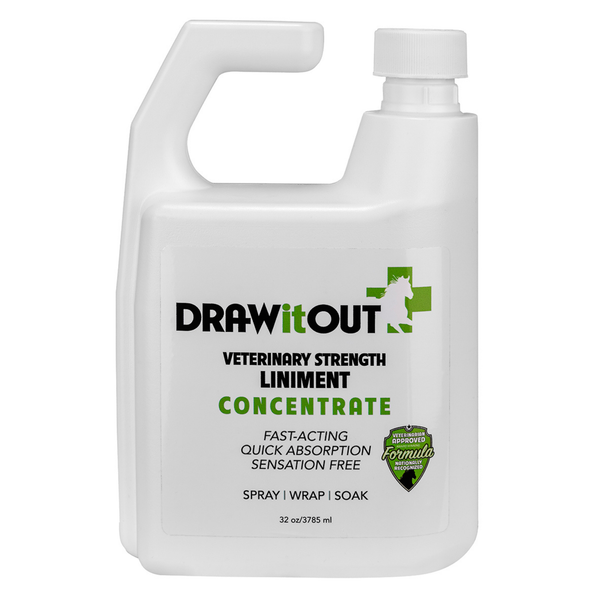Draw It Out® 32oz Horse Liniment Concentrate – Spray, Wrap, or Soak for Fast Equine Relief