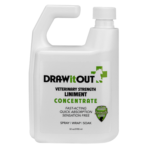 Draw It Out® 32oz Horse Liniment Concentrate – Spray, Wrap, or Soak for Fast Equine Relief