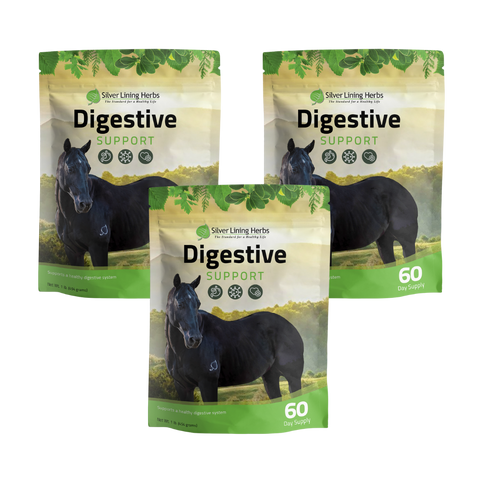 Digestive Support for Horses