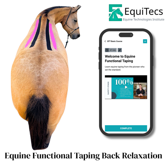 EquiTecs EFT Application Library