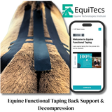 EquiTecs EFT Application Library