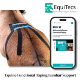 EquiTecs EFT Application Library