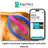 EquiTecs EFT Application Library