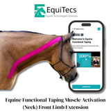 EquiTecs EFT Application Library