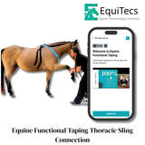 EquiTecs EFT Application Library