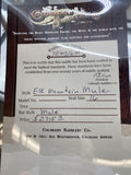 Elk Mountain Mule 16"