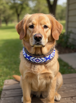 Epic Padded Leather Dog Collar with Beaded Design G