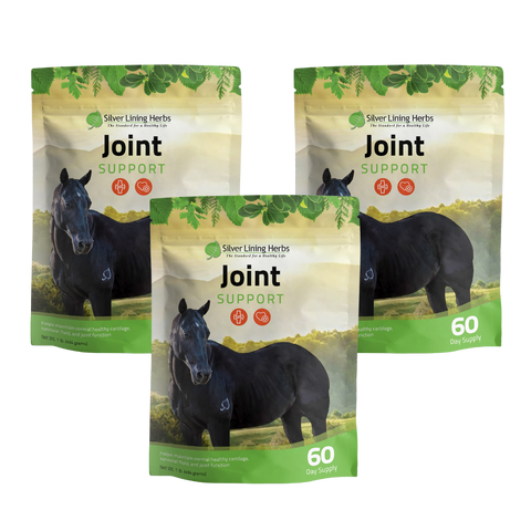 Joint Support for Horses