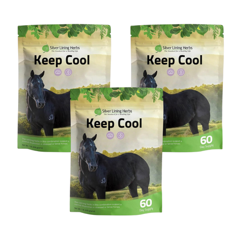 Keep Cool for Horses