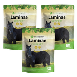 Laminae Support for Horses