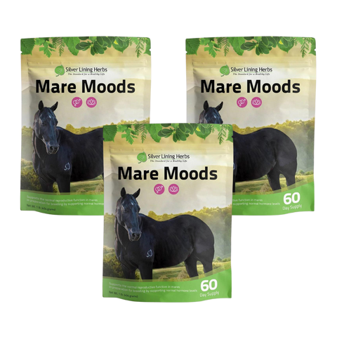 Mare Moods For Horses
