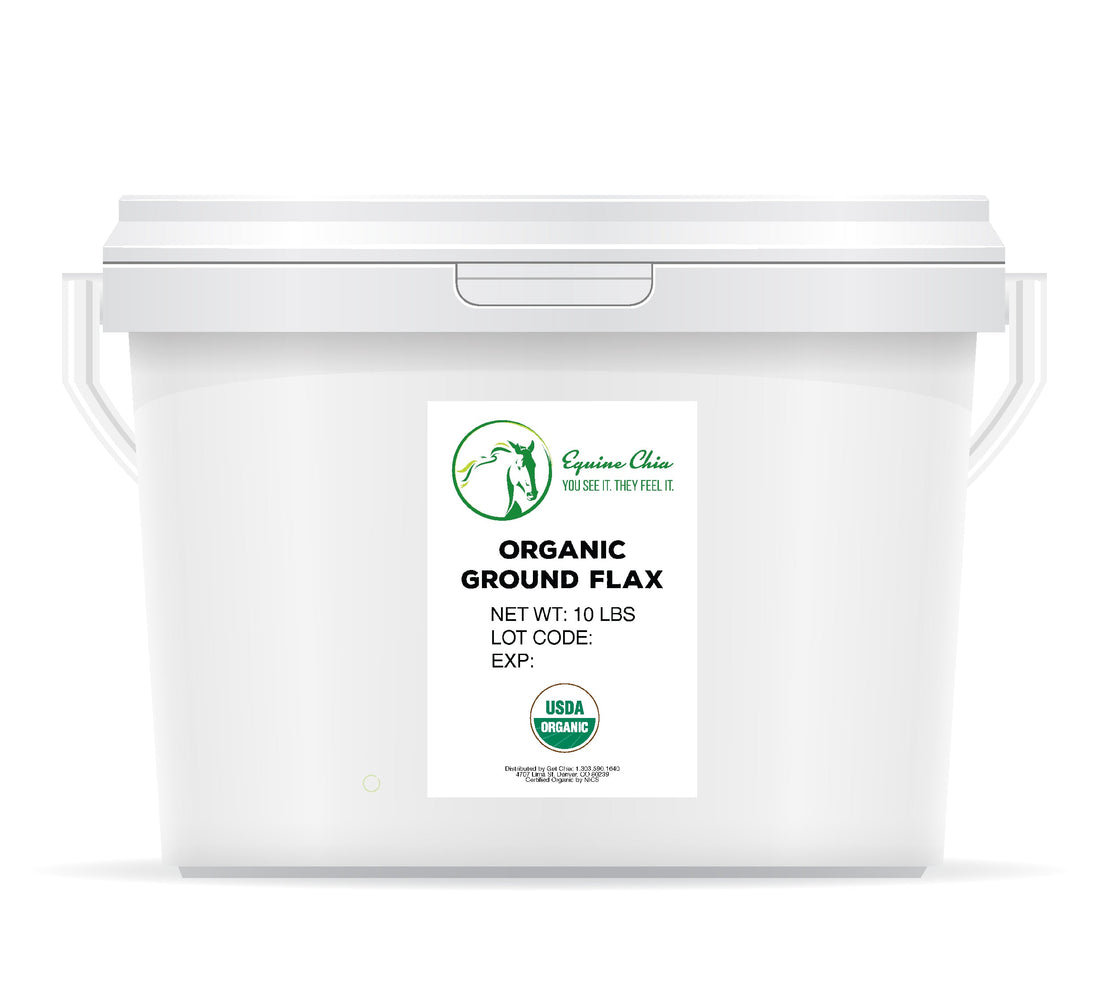 Organic Equine Ground Flax