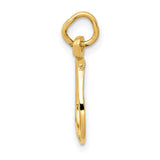 14k White or Yellow Gold Horseshoe Charm or Pendant, 10mm (3/8 inch)
