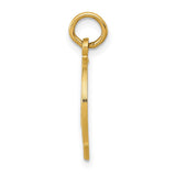 14k White or Yellow Gold Good Luck Horseshoe Charm or Pendant, 13mm