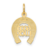 14k White or Yellow Gold Good Luck Horseshoe Charm or Pendant, 13mm