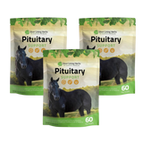 Pituitary Support for Horses
