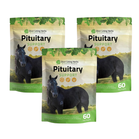 Pituitary Support for Horses