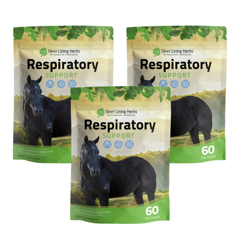 Respiratory Support for Horses