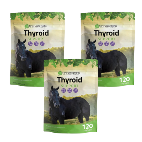 Thyroid Support for Horses