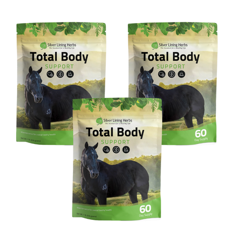 Total Body Support for Horses