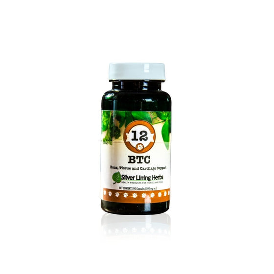 BTC Bone Tissue and Cartilage Support