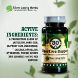 Digestive Support for Canines