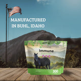Immune Support for Horses