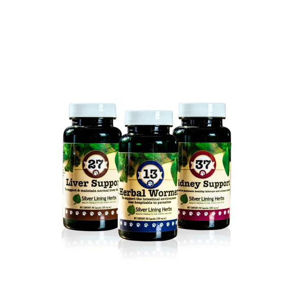 Spring Maintenance Bundle for Canines