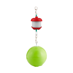 Jolly Stall Snack Combo