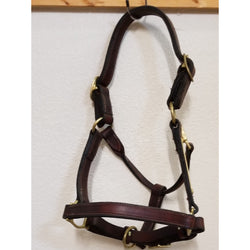 Leather halter fits regular horse